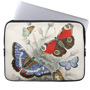 Housse Pour Ordinateur Portable Illustration botanique scientifique de papillon vi