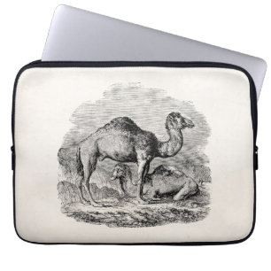 Housse Pour Ordinateur Portable Illustration personnalisée par dromadaire vintage