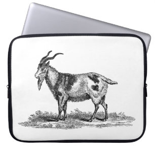 Housse Pour Ordinateur Portable Illustration vintage de chèvre domestique -