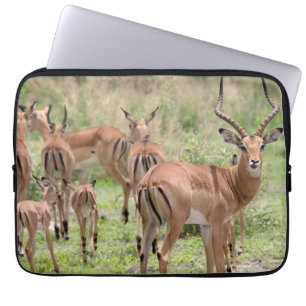 Housse Pour Ordinateur Portable Impala dans le delta de l'Okavango