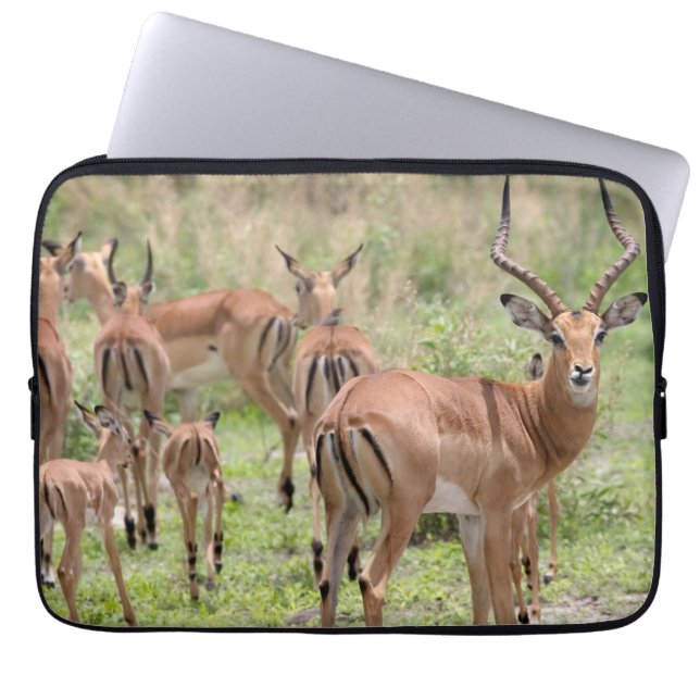 Housse Pour Ordinateur Portable Impala dans le delta de l'Okavango (Devant)