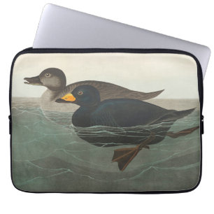 Housse Pour Ordinateur Portable Impression de Macreuse noire d'Audubon : Canard cô