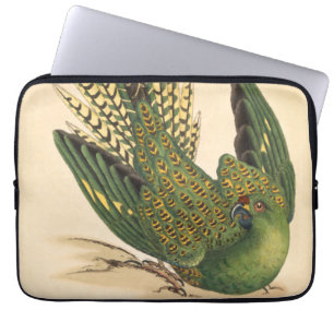 Housse Pour Ordinateur Portable James Sowerby Parrot terrestre, Psittacus terrestr