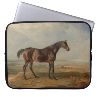 Housse Pour Ordinateur Portable James Ward - Dr. Syntax, un cheval de course bai