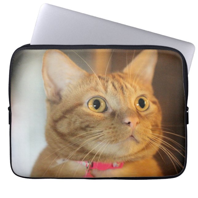 Housse Pour Ordinateur Portable Joli Penny (Devant)