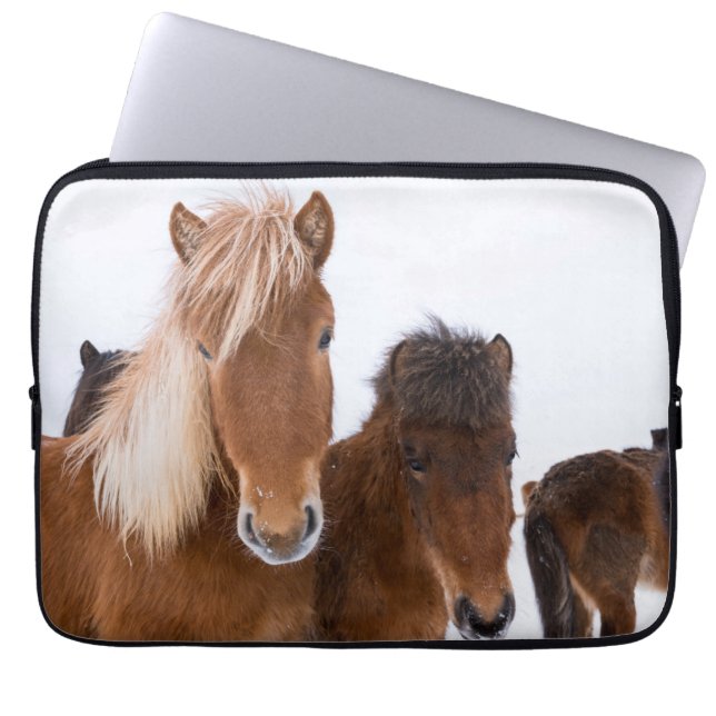 Housse Pour Ordinateur Portable Jolis chevaux islandais ensemble (Devant)