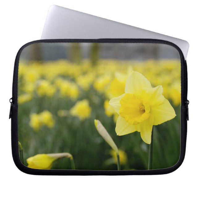 Housse Pour Ordinateur Portable Jonquilles (RF) (Devant)
