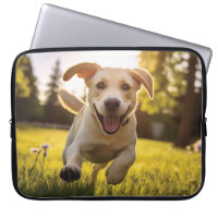 Joyeux Labrador Puppy Running
