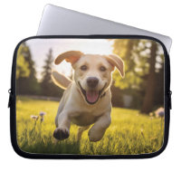 Joyeux Labrador Puppy Running