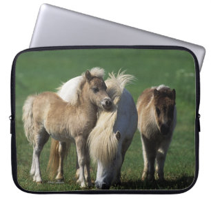Housse Pour Ordinateur Portable Jument et poulains miniatures 1
