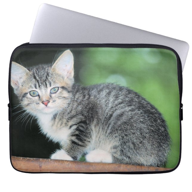 Housse Pour Ordinateur Portable Kitten (Devant)