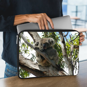 Housse Pour Ordinateur Portable Koala - Dormir