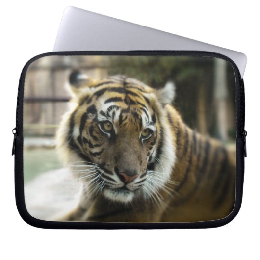 Housse Pour Ordinateur Portable La grâce du tigre (Devant)