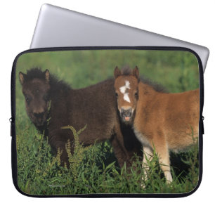 Housse Pour Ordinateur Portable La miniature pouline dans l'herbe
