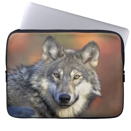 Housse Pour Ordinateur Portable La sagesse du loup (Devant)