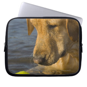 Housse Pour Ordinateur Portable Labrador jaune avec de la balle de tennis dans