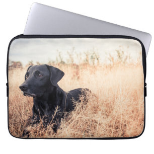 Housse Pour Ordinateur Portable Labrador Noir En Graine Sèche