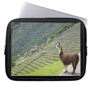 Housse Pour Ordinateur Portable lama