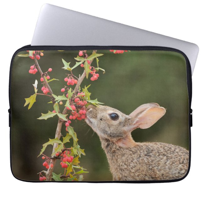 Housse Pour Ordinateur Portable Lapin de l'Est | Texas du Sud (Devant)