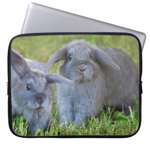 Housse Pour Ordinateur Portable Lapins de la Hollande Lop de bébé - lapins migno
