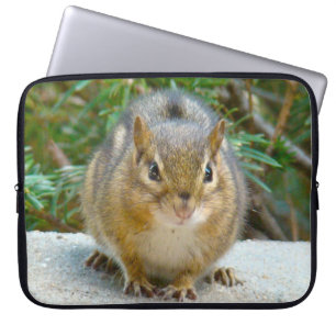 Housse Pour Ordinateur Portable Le Cute Chipmunk A L'Oeil Sur Vous