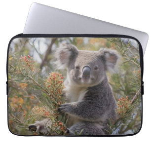 Housse Pour Ordinateur Portable "Le paradis de Koala : niché dans un arbre de Grev