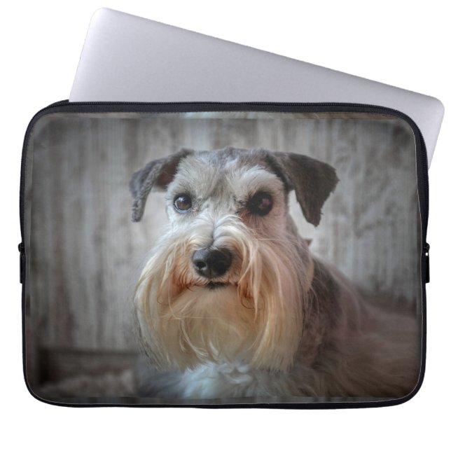 Housse Pour Ordinateur Portable Le visage de Schnauzer Dog (Devant)