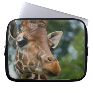 Housse Pour Ordinateur Portable Les amateurs de girafe Faune