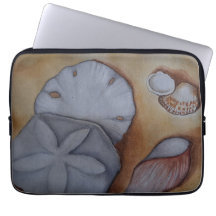 Les coquillages en bord de mer