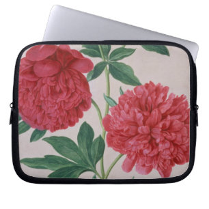 Housse Pour Ordinateur Portable Les pivoines, plaquent 46 du Florilegium de Nassau