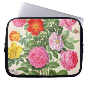 Housse Pour Ordinateur Portable Les roses, plaquent 4 du Florilegium de Nassau (la
