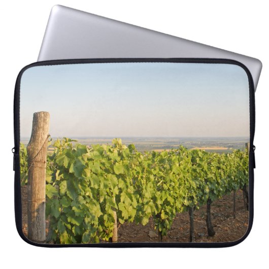 Housse Pour Ordinateur Portable Les vignobles de Tokaj, Hongrie (Devant)