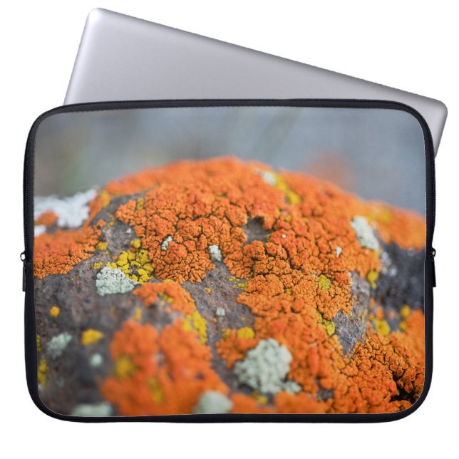 Housse Pour Ordinateur Portable Lichen orange moss pierre gris (Devant)