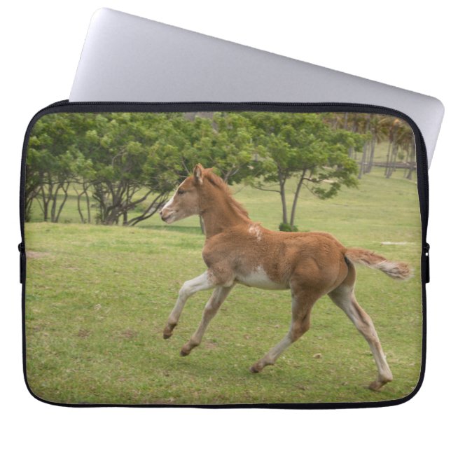 Housse Pour Ordinateur Portable L'île de Pâques aka Rapa Nui (Devant)