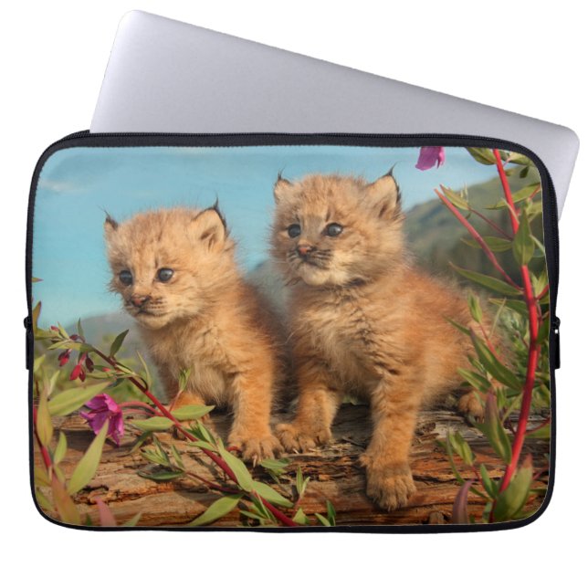 Housse Pour Ordinateur Portable Lynx Kittens, Canada, Alaska (Devant)