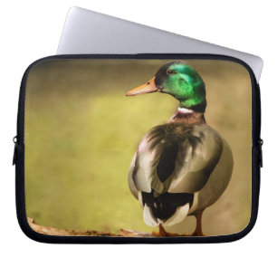 Housse Pour Ordinateur Portable Mallard Duck