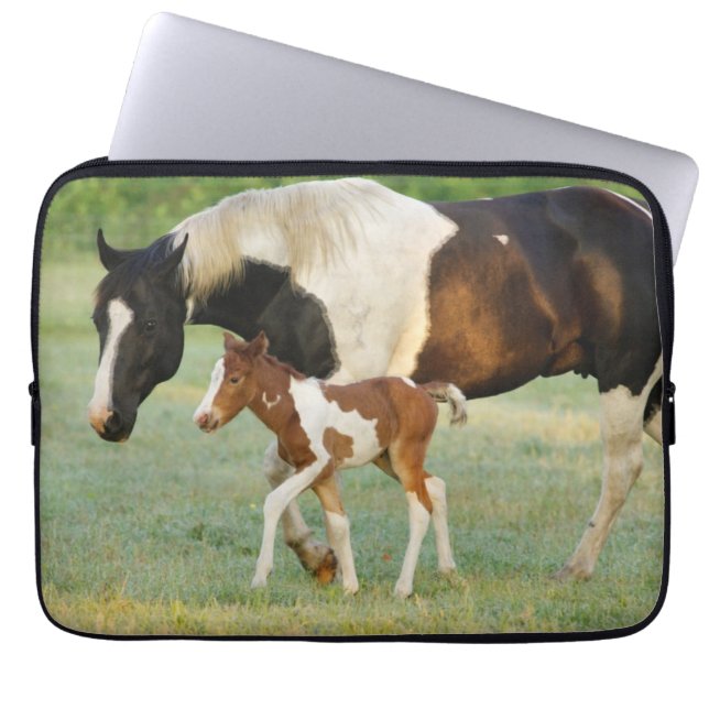 Housse Pour Ordinateur Portable Maman & Nouveau-né Paint Filly (Devant)