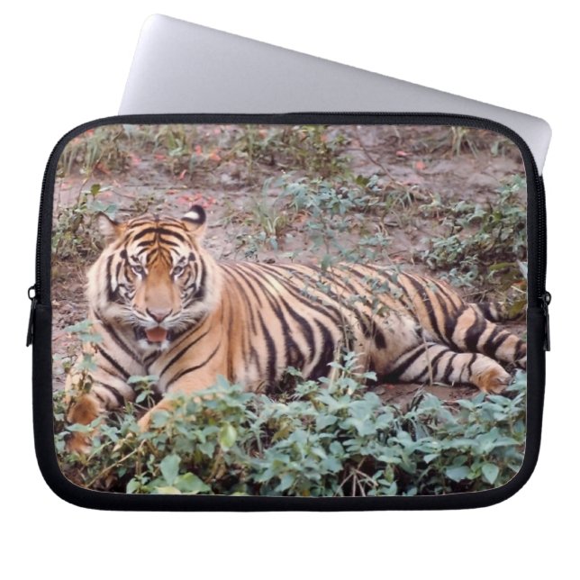 Housse Pour Ordinateur Portable Manche de portable Sumatran Tiger (Devant)