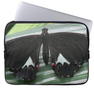 Housse Pour Ordinateur Portable Manche d'ordinateur portable à papillon tropical n