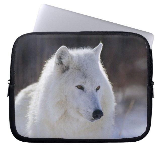 Housse Pour Ordinateur Portable Manche électronique Arctic White Wolf (Devant)