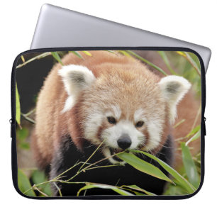 Housse Pour Ordinateur Portable manche portable Photo panda rouge, animaux.