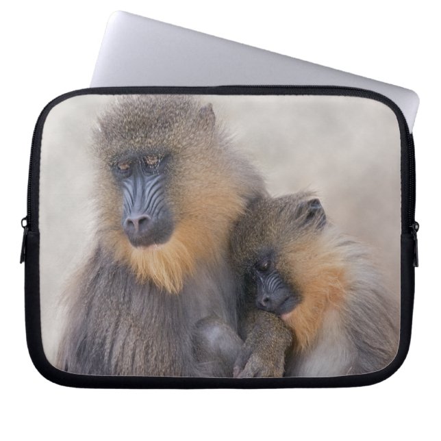 Housse pour ordinateur portable Mandrill et Young (Devant)