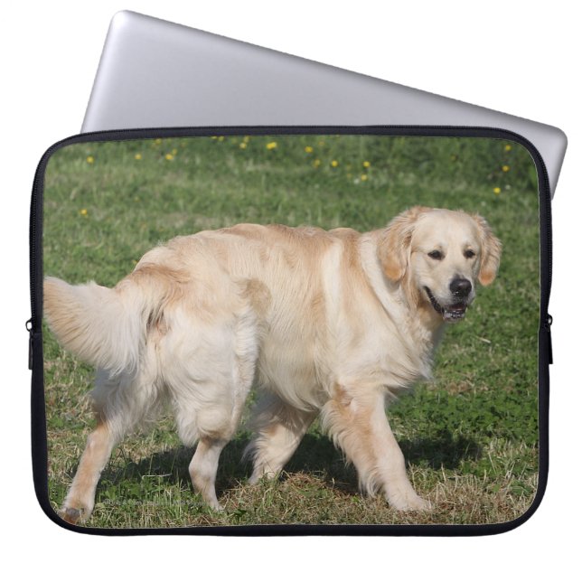 Housse Pour Ordinateur Portable Marche de golden retriever (Devant)