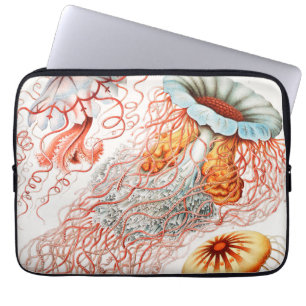 Housse Pour Ordinateur Portable Méduses, Discomedusae par Ernst Haeckel