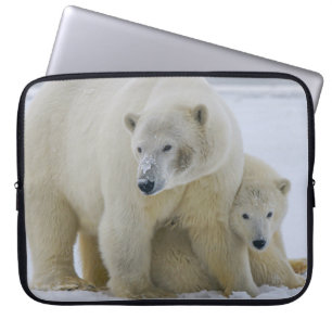 HOUSSE POUR ORDINATEUR PORTABLE MÈRE DE L'OURS POLAIRE ET CUB NORD ALASKA