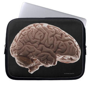 Housse Pour Ordinateur Portable Modèle du cerveau humain, plan de studio