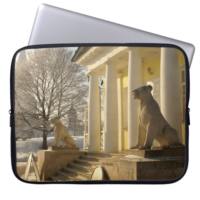 Housse Pour Ordinateur Portable Moscou. Hiver. sculpture de lions. (Devant)