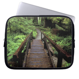 Housse Pour Ordinateur Portable NA, États-Unis, Californie, Jedidiah Smith Redwood