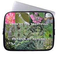 nature texte fleur feuille vert jardin printemps