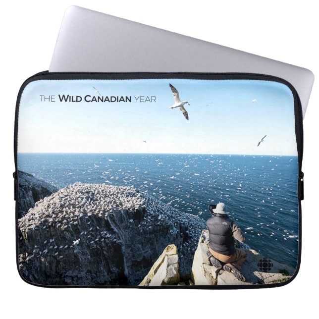 Housse Pour Ordinateur Portable Northern Gannets (Devant)